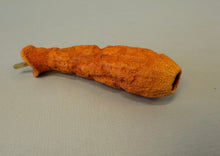 Load image into Gallery viewer, Making Caribbean Coral-video seminar