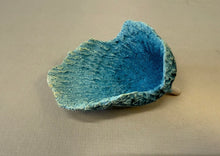 Load image into Gallery viewer, Making Caribbean Coral-video seminar