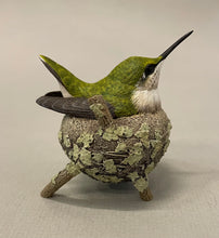 Load image into Gallery viewer, Ruby-throated hummingbird nesting-Video Seminar