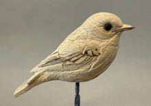 Load image into Gallery viewer, Mountain Bluebird-Video Seminar