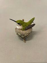 Load image into Gallery viewer, Ruby-throated hummingbird nesting-Video Seminar