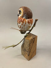 Load image into Gallery viewer, Saw-whet Owl-Combo Pack(9 products included)