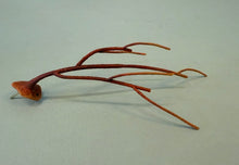 Load image into Gallery viewer, Making Caribbean Coral-video seminar