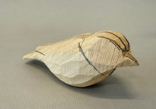 Load image into Gallery viewer, Mountain Bluebird-Video Seminar