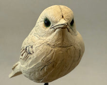 Load image into Gallery viewer, Mountain Bluebird-Video Seminar