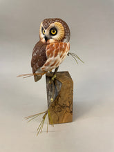 Load image into Gallery viewer, Saw-whet Owl-video seminar