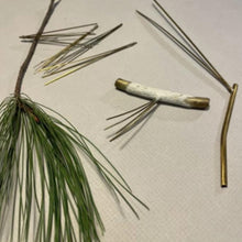 Load image into Gallery viewer, Making a Pine Branch (habitat series)-video seminar