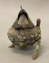Load image into Gallery viewer, Ruby-throated hummingbird nesting-Video Seminar