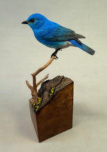 Load image into Gallery viewer, Mountain Bluebird (detailed)
