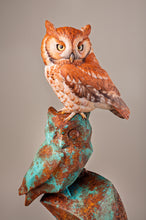 Load image into Gallery viewer, Sreech Owl-video seminar