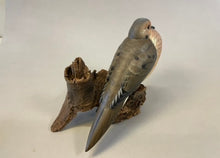 Load image into Gallery viewer, Mourning Dove(smoothie)-video seminar