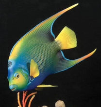 Load image into Gallery viewer, Queen Angelfish-Video Seminar