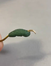 Load image into Gallery viewer, Saw-whet Owl (feet)-video seminar