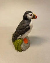 Load image into Gallery viewer, Puffin on Rocks 1/5 scale -video seminar