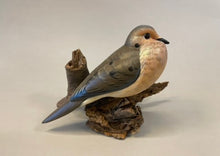 Load image into Gallery viewer, Mourning Dove(smoothie)-video seminar