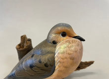 Load image into Gallery viewer, Mourning Dove(smoothie)-video seminar