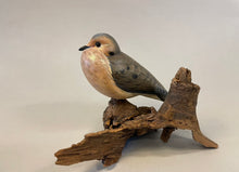 Load image into Gallery viewer, Mourning Dove(smoothie)-video seminar