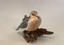 Load image into Gallery viewer, Mourning Dove(smoothie)-video seminar