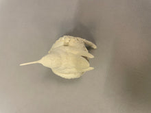 Load image into Gallery viewer, Ruby-throated Hummingbird-nesting Cast