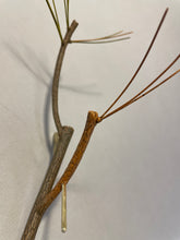 Load image into Gallery viewer, Making a Pine Branch (habitat series)-video seminar