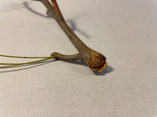 Load image into Gallery viewer, Making a Pine Branch (habitat series)-video seminar