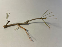 Load image into Gallery viewer, Making a Pine Branch (habitat series)-video seminar