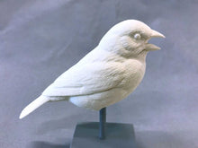 Load image into Gallery viewer, Painted Bunting-opened beak cast