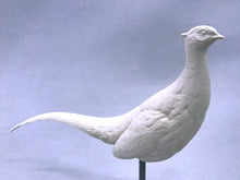 Load image into Gallery viewer, Ring-necked Pheasant 1/3 scale Cast
