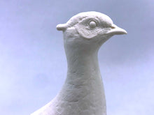 Load image into Gallery viewer, Ring-necked Pheasant 1/3 scale Cast