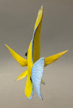 Load image into Gallery viewer, Longnose Butterflyfish-Video Seminar