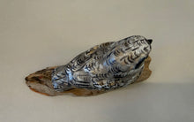 Load image into Gallery viewer, Common Poorwill