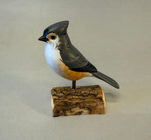 Load image into Gallery viewer, Tufted Titmouse