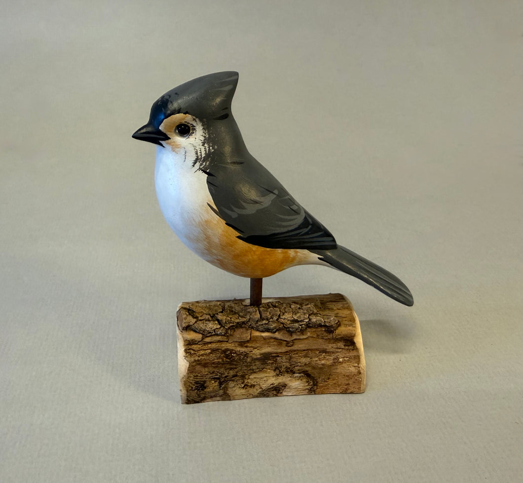 Tufted Titmouse