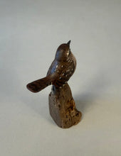 Load image into Gallery viewer, Winter wren