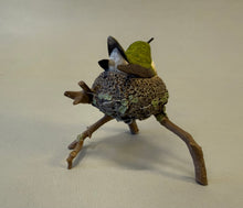 Load image into Gallery viewer, Ruby-throated hummingbird nesting (detailed)