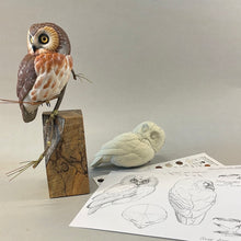 Load image into Gallery viewer, Saw-whet Owl-Combo Pack(9 products included)