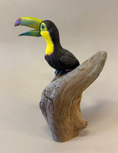 Load image into Gallery viewer, Keel-billed Toucan