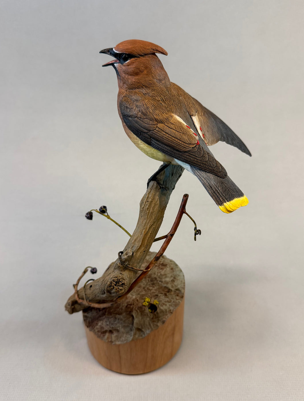 Cedar Waxwing (detailed)
