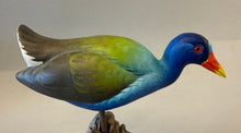 Load image into Gallery viewer, Purple Gallinule (smoothie)-video seminar