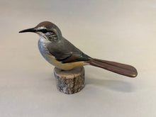 Load image into Gallery viewer, California Thrasher