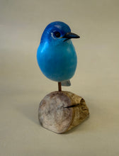 Load image into Gallery viewer, Mountain Bluebird