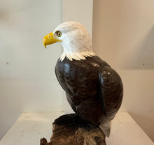 Load image into Gallery viewer, Bald Eagle