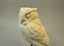 Load image into Gallery viewer, Screech Owl Cast 2025