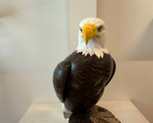 Load image into Gallery viewer, Bald Eagle