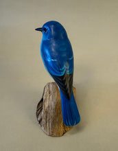 Load image into Gallery viewer, Mountain Bluebird