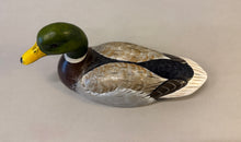 Load image into Gallery viewer, Mallard Duck(10 in long)