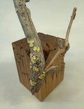 Load image into Gallery viewer, Western Tanager (detailed)