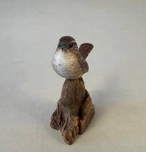 Load image into Gallery viewer, Winter wren