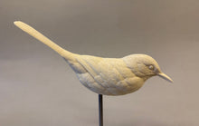 Load image into Gallery viewer, Brown Thrasher cast