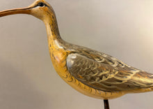 Load image into Gallery viewer, Long-billed curlew